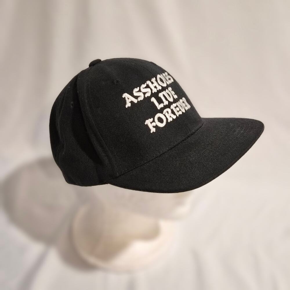 Assholes Live Forever Snapback Hat Yupoong Classics Black Embroidered Streetwear